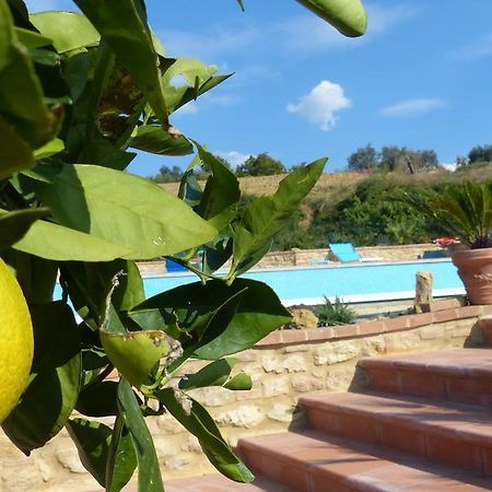 Agriturismo B And B Rifugio Dei Sogni Volterra Zewnętrze zdjęcie