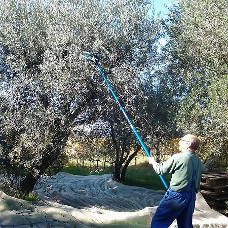 Agriturismo B And B Rifugio Dei Sogni Volterra Zewnętrze zdjęcie