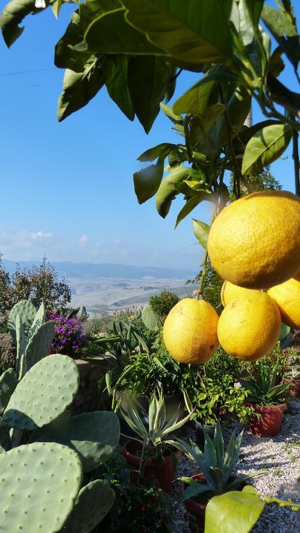 Agriturismo B And B Rifugio Dei Sogni Volterra Zewnętrze zdjęcie