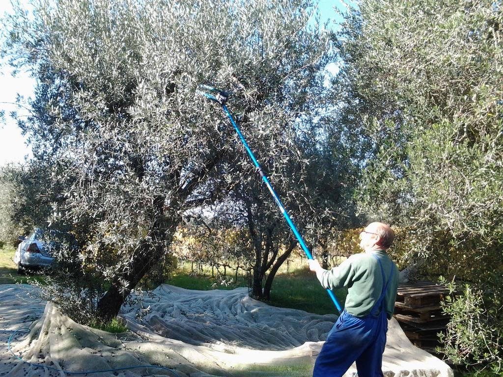 Agriturismo B And B Rifugio Dei Sogni Volterra Zewnętrze zdjęcie